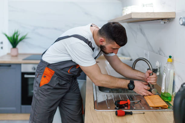 Best Affordable Plumbing Services  in High Springs, FL
