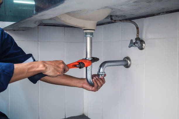 Best Local Plumber Services  in High Springs, FL