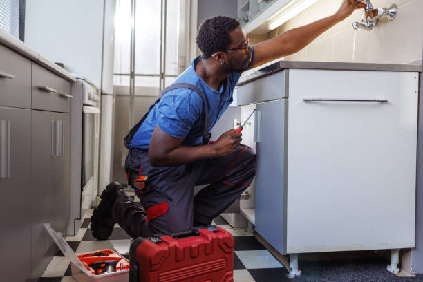 Best Clogged Drain Plumber  in High Springs, FL