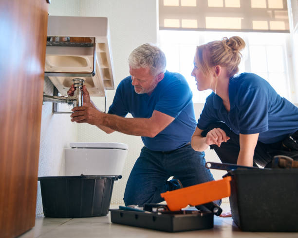 Best Sprinkler Systems  in High Springs, FL